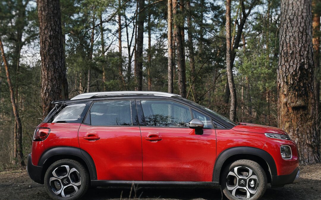 Citroën: Din Pålidelige Vinterbil